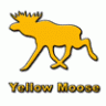 yellow moose
