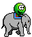 elefant :elefant: